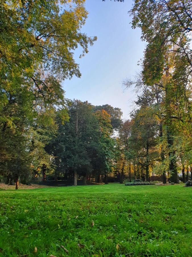 Villa Bottini La Limonaia Robecco d'Oglio Eksteriør billede
